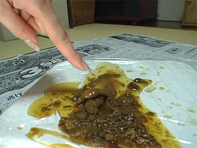 【自撮り】カメラの前で排泄したウンコの重さを測るという謎の行為